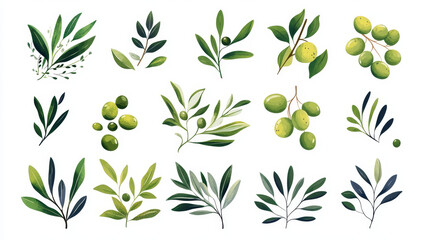 Green olive tree branch with berries and leaves isolated realistic icon. Vector olive ripe fruit, natural cosmetics ingredient. Mediterranean cuisine olives, extra virgin oil italian and greek food