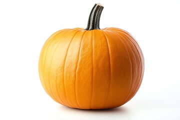 Obraz premium A single ripe orange pumpkin isolated on a white background.