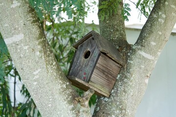 Close-up of bird's tree nest box