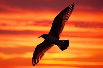 Fototapeta premium A silhouette of a bird soaring against a vibrant sunset sky.