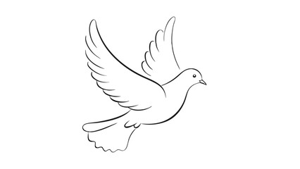 dove line art style vector illustration