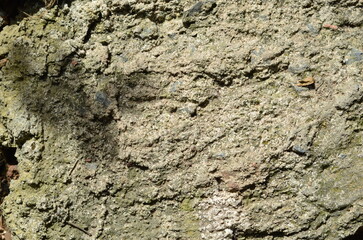 showcases a rough, textured concrete surface. It's ideal for backgrounds, textures, or illustrating construction, urban decay, or industrial themes. detail and contrast, design projects, web graphics