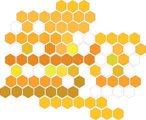 honeycomb with hexagon stroke vector 