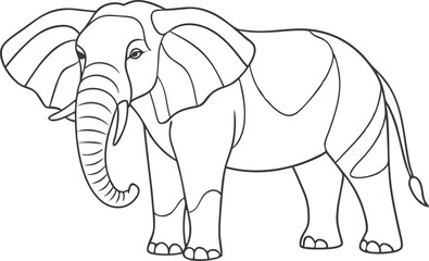 Elephant hand drawn illustrations