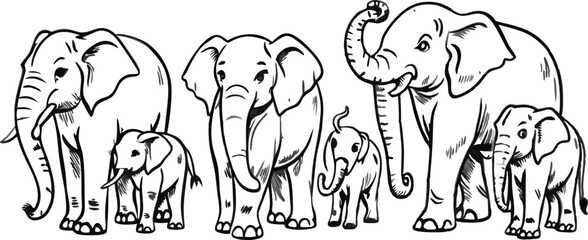 Elephant hand drawn illustrations