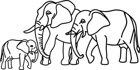 Elephant hand drawn illustrations