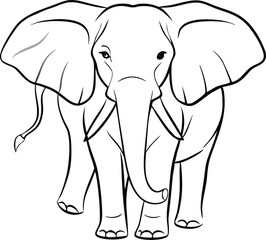 Elephant hand drawn illustrations