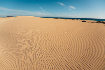 Desert dunes by the Ocean