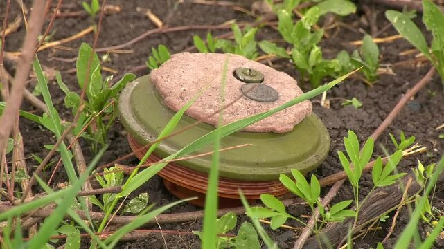 An anti-tank mine lies on the ground among the grass. Real hostilities. Weapons during the Russian-Ukrainian war.