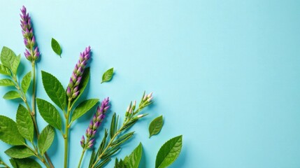 Vibrant Purple Flowers and Lush Green Leaves Arranged on a Light Blue Background