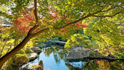 美しい日本庭園　日本の秋