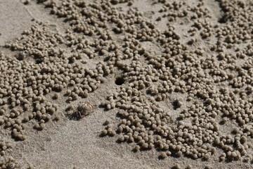 texture of sand
