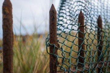 Close-up of a rusted metal fence with green wire mesh outdoors.