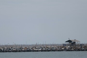 seagulls on the pier