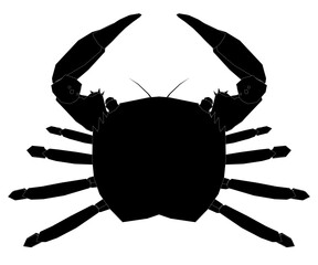 Black crab is shown in a white background. The crab is the main focus of the image, and it is the most interesting part of the scene