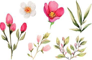 pink and white tulips