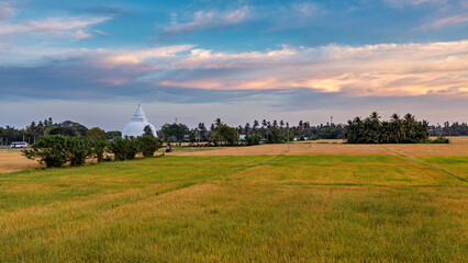 Agriculture with a Dagoba at Tissamahamara in Sri Lanka