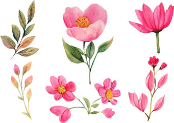 set of pink flowers