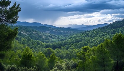Obraz premium Majestic Mountain Forest Landscape with Lush Green Trees Under a Dramatic Sky