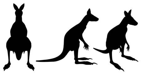 Three kangaroos are shown in silhouette, with one standing on its hind legs and the other two sitting on their hind legs. The kangaroos are all facing the same direction