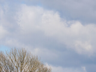 冬の青空と白い雲と林103