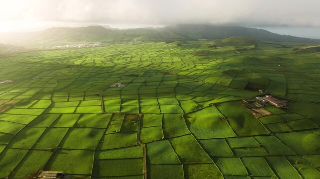 Patchwork pasture agricultural fields at sunset on Terceira Island. Aerial view