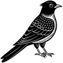 Create a Cuckoo Printable Graphic Design File for Stock Images