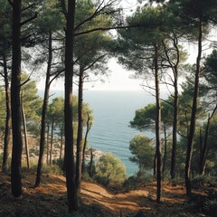 Obraz premium pine forest, the trees creating a peaceful and quiet atmosphere. In the background, the sea provides a beautiful