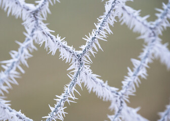 Metal fence with hoarfrost on it at winter
