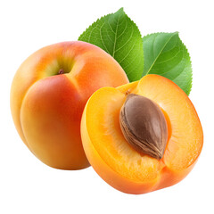 Apricot and half apricot isolated on transparent background