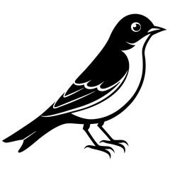 Bluebird Vector Illustration for Print and Digital Use