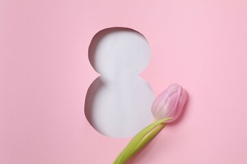 Paper cut out figure eight on pink background with fresh tulips. Concept of 8 march, Women's day