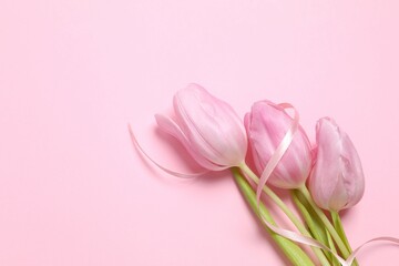 Beautiful fresh tulips on colored background