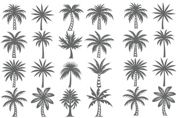 This set of detailed palm and coconut tree silhouette illustrations Free
