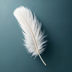 Concept photo of a white feather with space for text