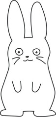 rabbit01