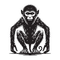 Minimalistic monkey silhouette for media and creative applications - Monkey black vector
