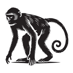 Detailed monkey silhouette for media and artistic uses - Monkey black vector
