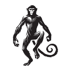Fototapeta premium Playful monkey silhouette for innovative media uses - Monkey black vector 