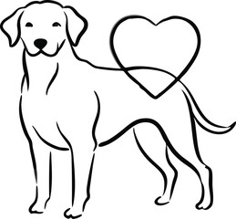 Linear drawing of a labrador, a dog and a heart