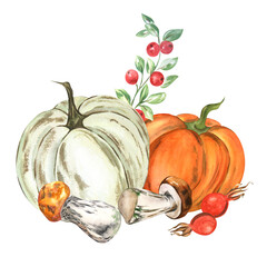 Autumn collection with pumpkins, mushrooms and berries on a white background. Watercolor. Handmade. Can be used on packaging, stickers, compositions