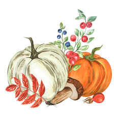 Autumn collection with pumpkins, mushrooms and berries on a white background. Watercolor. Handmade. Can be used on packaging, stickers, compositions