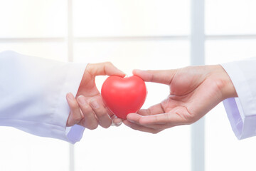 hands professional doctors hold heart cardiology cooperate fighting covid-19 virus, healthy volunteer doctors team social agreement support hospitalize nursing healing patients people protection