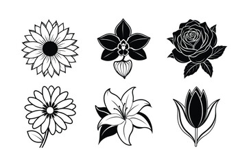 Vector Silhouette of Sunflower, Orchid, Rose, Daisy Lily and Chrysanthemum