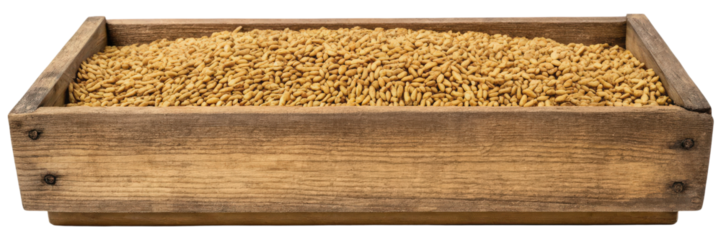 Wooden box filled with light brown grains isolated with transparent background