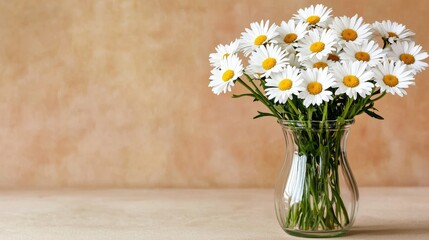 Fresh daisies in a glass vase on a textured background.