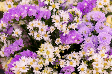 Fototapeta premium Selective focus, bunches of beautiful flowers bouquet in the market, bright mixed colorful flowers bouquet in vintage paper in florist shop