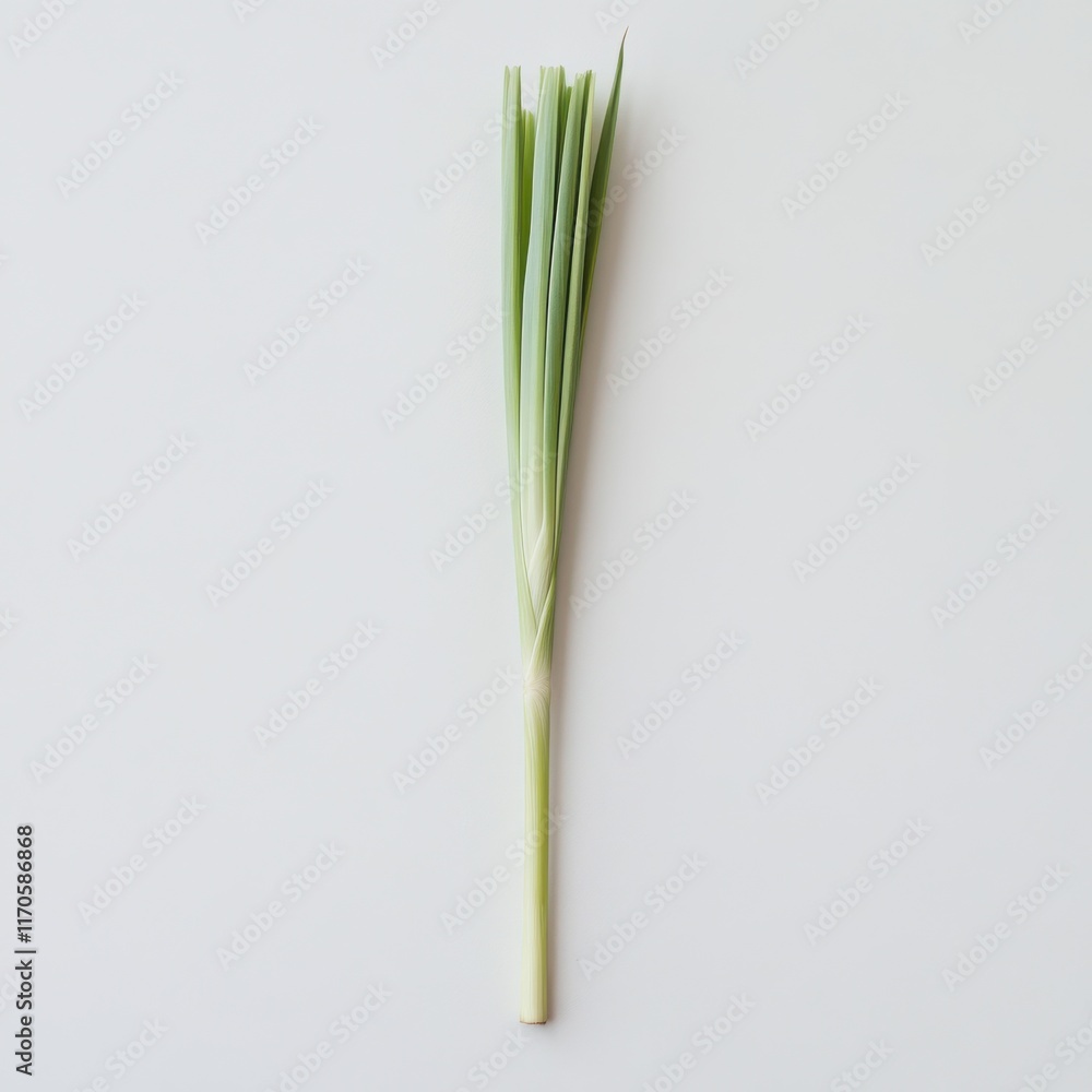 Poster fresh lemongrass stalk showcasing its pale green color and fine texture in a minimalistic setting