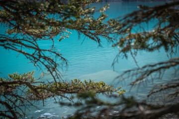 Obraz premium Moraine Lake Banff National Park