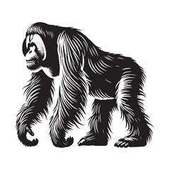 Bold orangutan silhouette for innovative media applications - Orangutan illustration - minimallest orangutan vector
